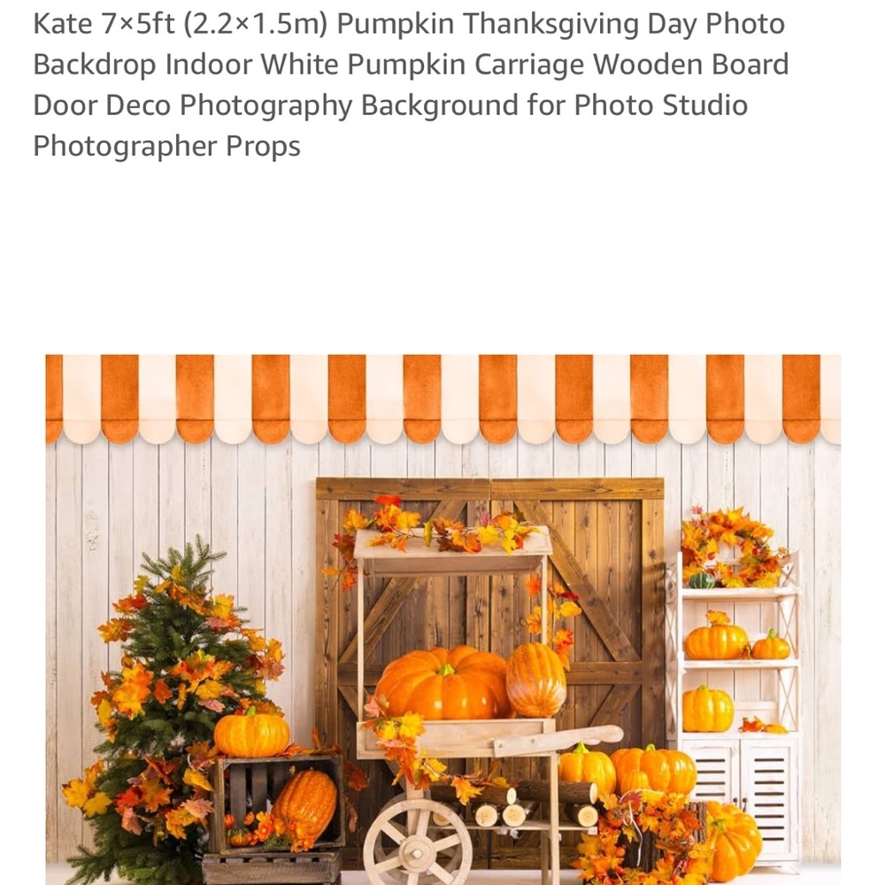 Kate Fall Autumn Thanksgiving Backdrop 7x5 photography